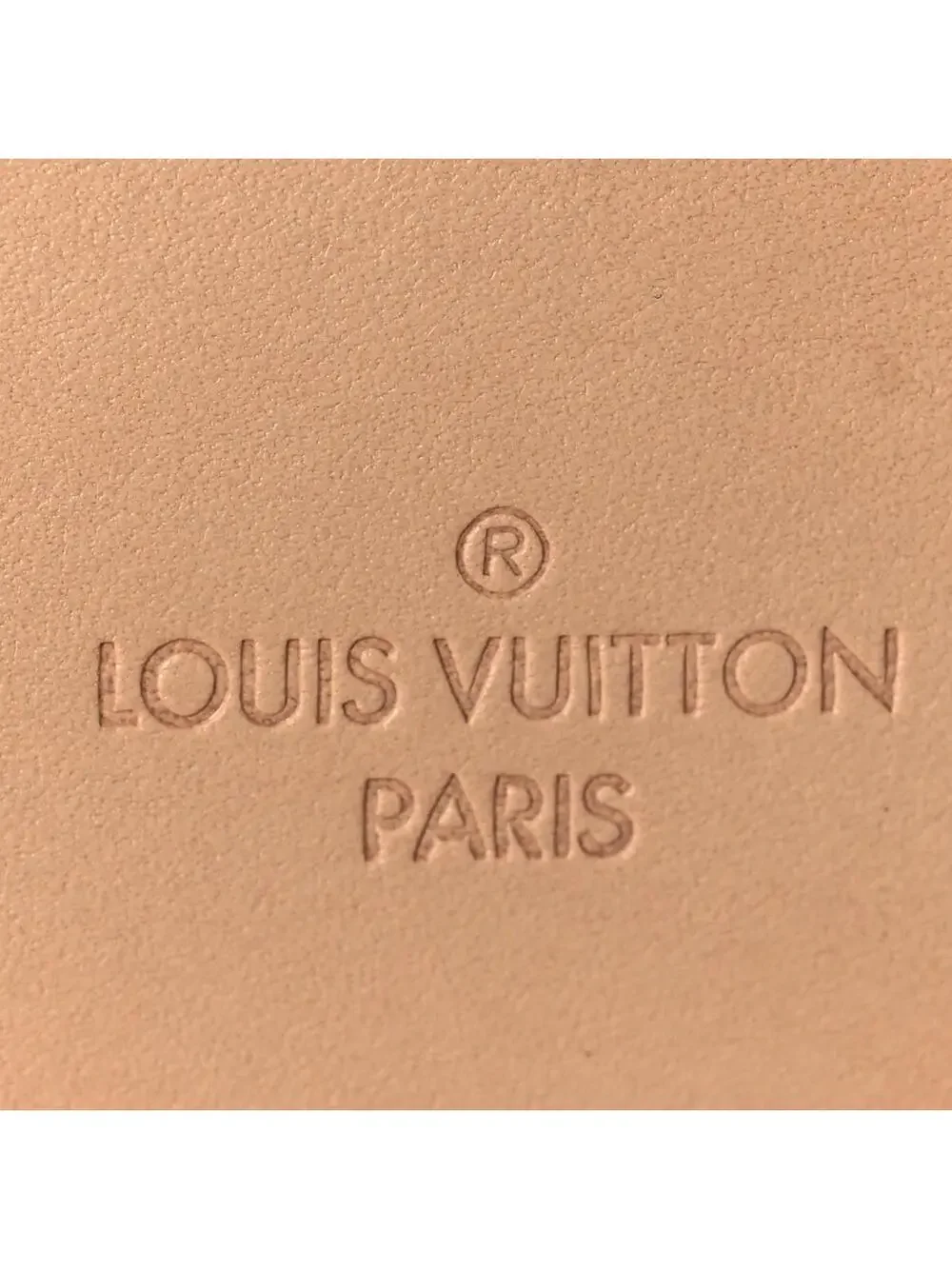 Louis Vuitton Pegase Legere Business 55 #310219L18B